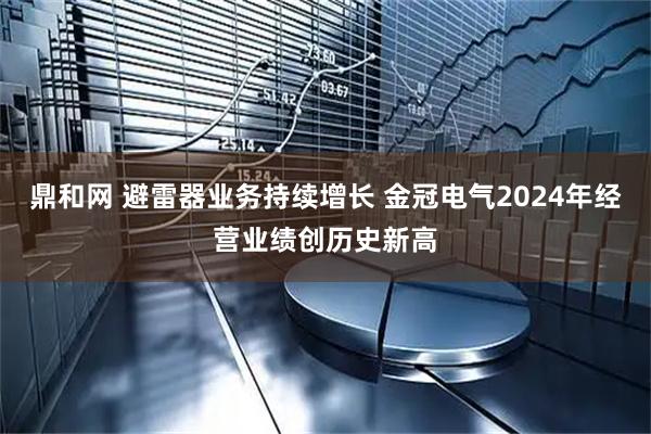 鼎和网 避雷器业务持续增长 金冠电气2024年经营业绩创历史新高