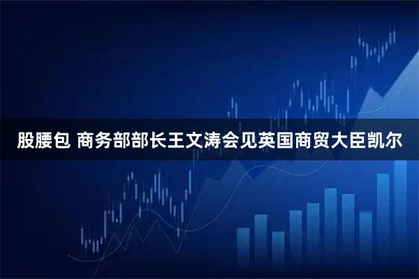 股腰包 商务部部长王文涛会见英国商贸大臣凯尔