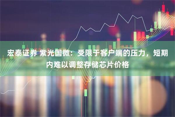 宏泰证券 紫光国微：受限于客户端的压力，短期内难以调整存储芯片价格