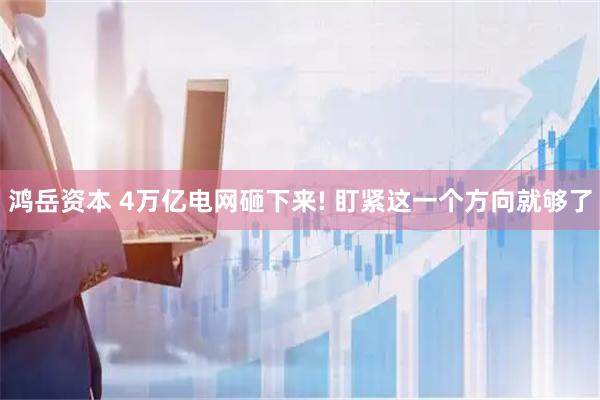 鸿岳资本 4万亿电网砸下来! 盯紧这一个方向就够了