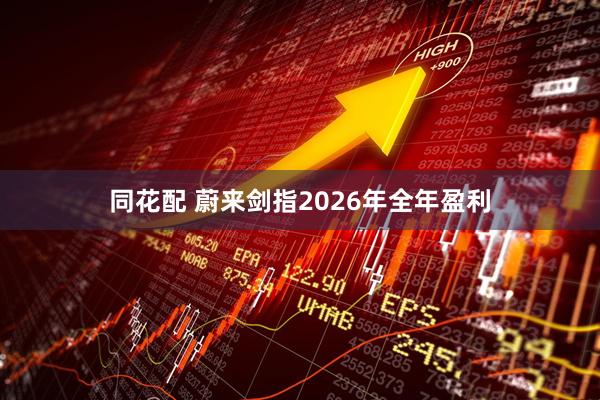 同花配 蔚来剑指2026年全年盈利