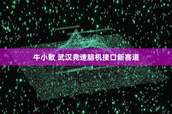 牛小散 武汉竞速脑机接口新赛道